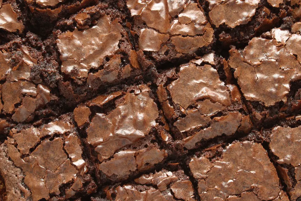 Can You Freeze Brownies?