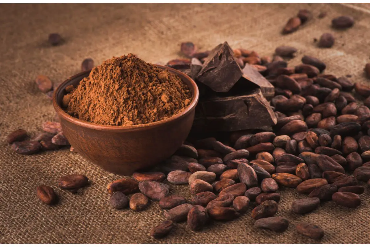 What Are The Benefits Of Chocolate And Raw Cacao