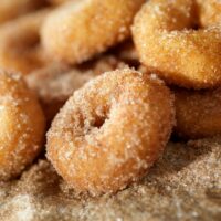 10-Best-Mini-Donuts-Recipes-You-Will-Love