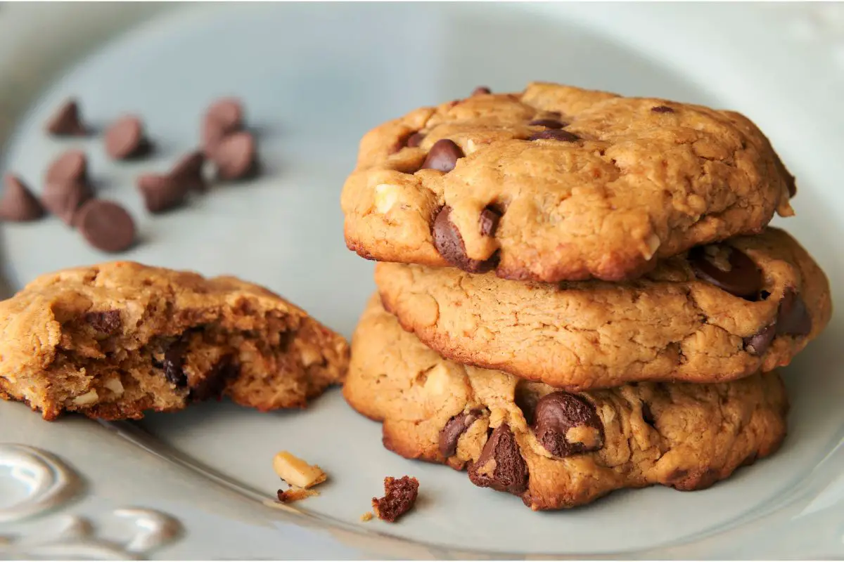 11 Best Gluten-Free Chocolate Chip Cookies Recipes You Will Love