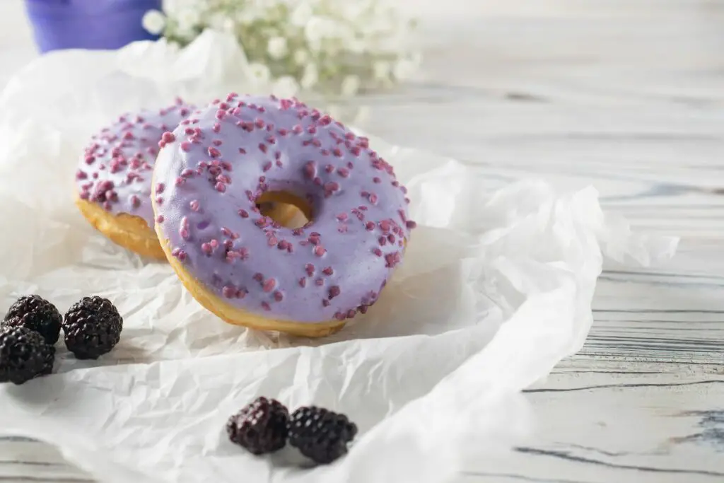 12 Best Blueberry Donuts Recipes You Will Love