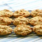 15 Best Peanut Butter No Bake Cookie Recipes You Will Love