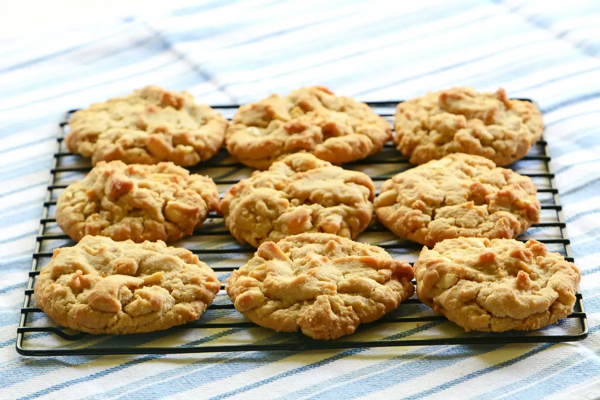 15 Best Peanut Butter No Bake Cookie Recipes You Will Love (1)