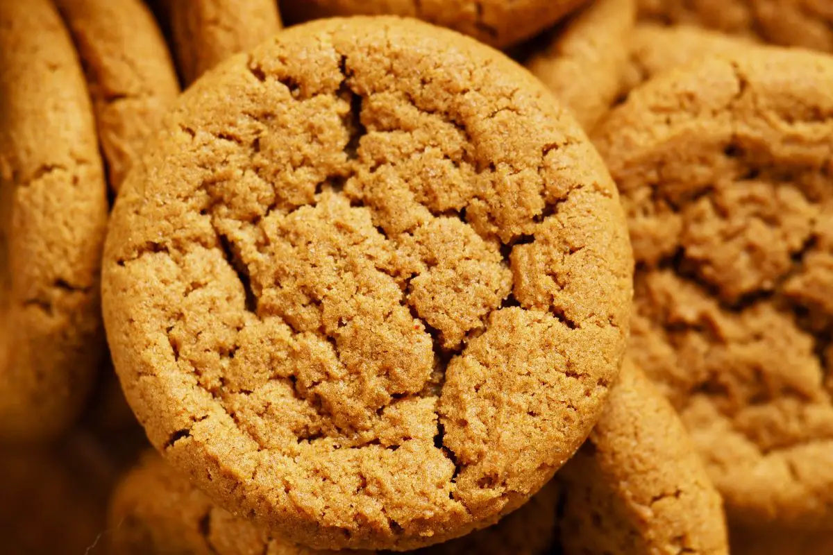 Eight Best Gingersnap Cookie Recipes You Will Undoubtedly Love