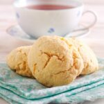 15 Scrumptious Coconut Cookie Recipes You Will Love