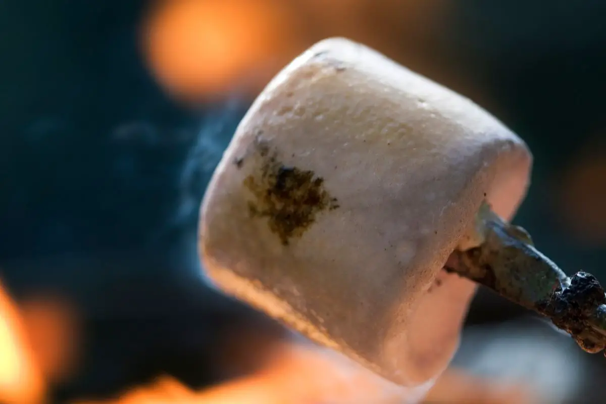 How to melt marshmallows