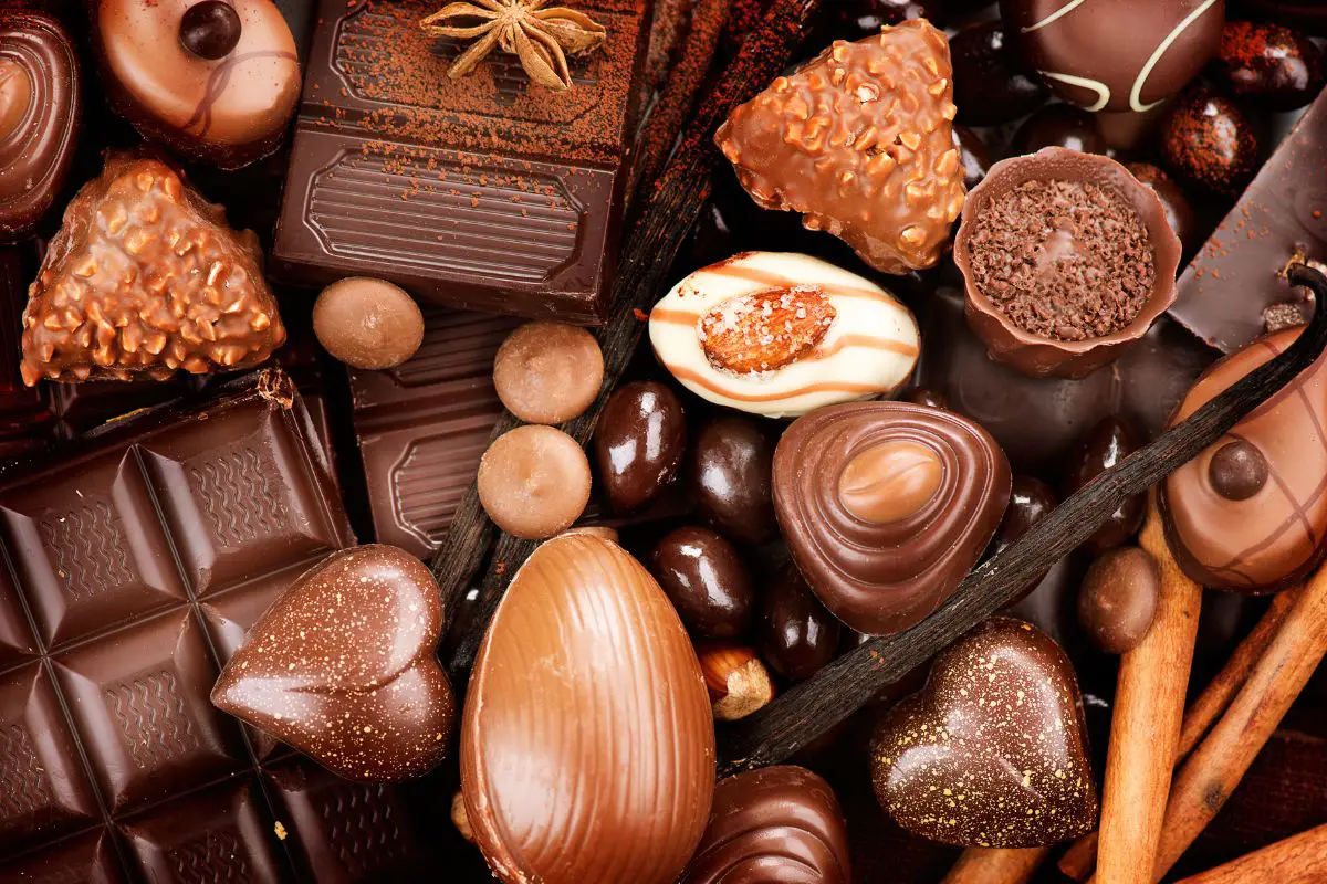 What Is Praline? 
